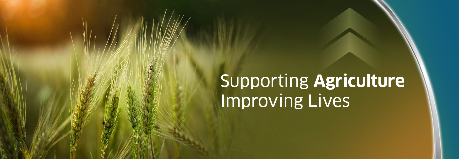 Agriculture Term Loan