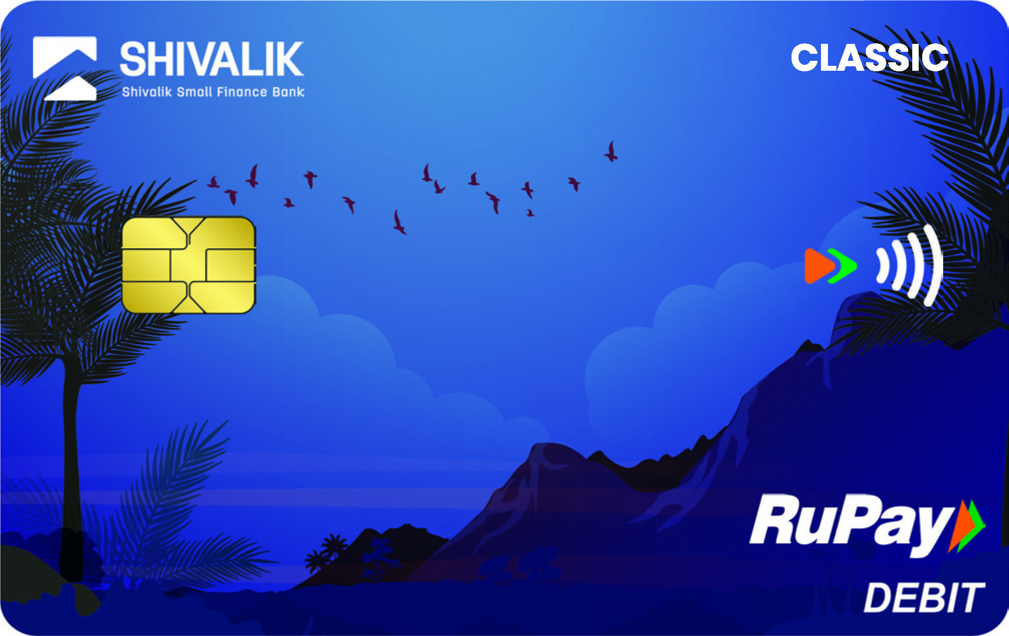 RuPay Classic Debit Card